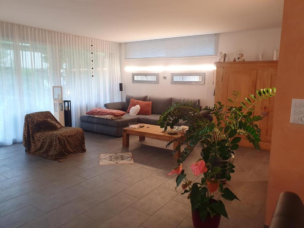 Casa Nadja, Naehe Skigebiet Flims-Lax Ems Esterno foto